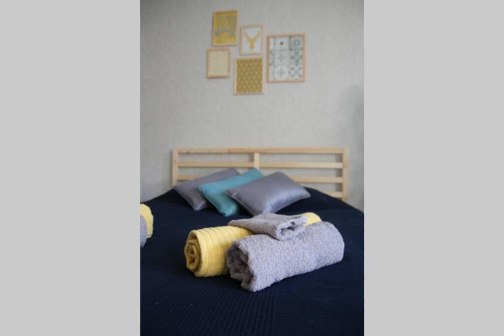 Agréable studio, proche du centre-ville Dijon Extérieur photo